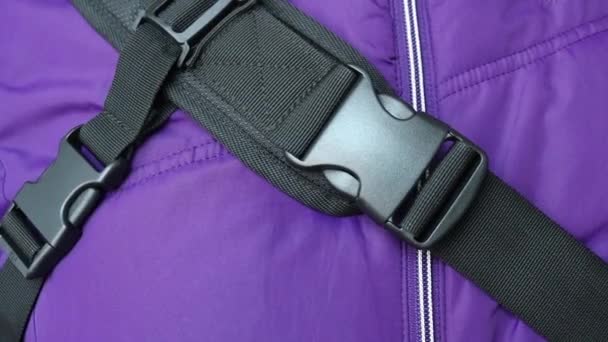Una donna slaccia il cinturino di uno zaino con una fibbia fastex. Chiusura dello zaino sicura e confortevole. — Video Stock