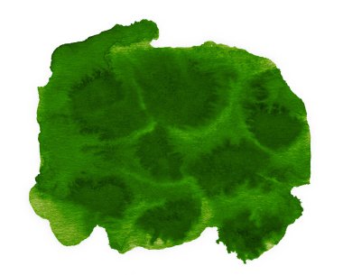 Doymuş yeşil suluboya arka plan. Tasarım için izole edilmiş nokta.