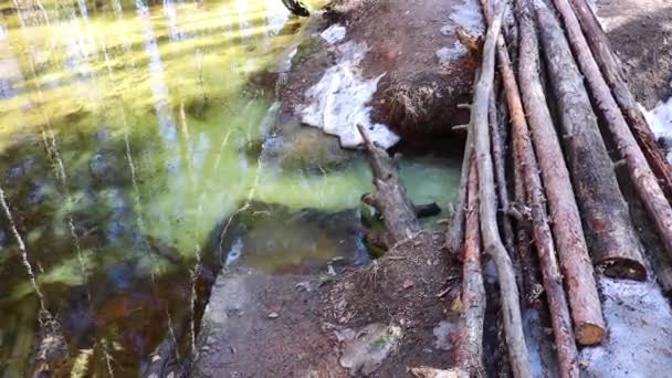 봄 홍수 - 작은 강을 가로지르는 통나무로 만든 다리, 숲 속의 눈녹은 곳에서 흘러내린 물. — 비디오