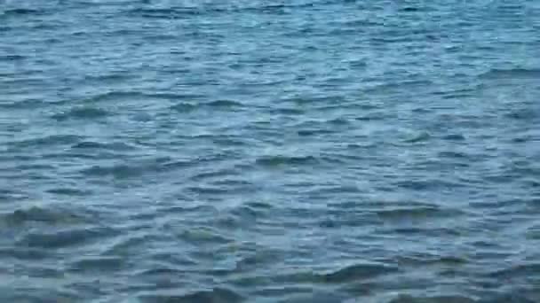 Een overzicht van de schone, rustige, transparante zee met een kiezelbodem. — Stockvideo