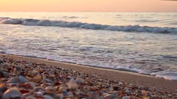 Vagues Mer Azov Roulent Sur Une Plage Sable Fin Coucher — Video