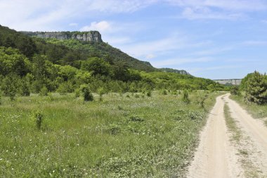 Karalez Vadisi, Kırım, Rusya 'ya giden yüksek dağlık platodan geçen yol. Yaz dağı manzarası.