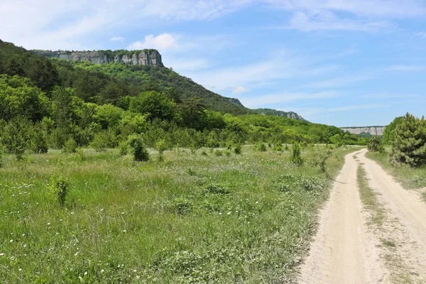 Cesta Přes Náhorní Plošinu Karalez Valley Krym Rusko Letní Horská — Stock fotografie