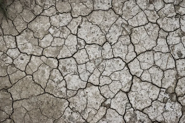 Tierra Agrietada Por Sequía Concepto Crisis Del Agua Escasez Estacional — Foto de Stock