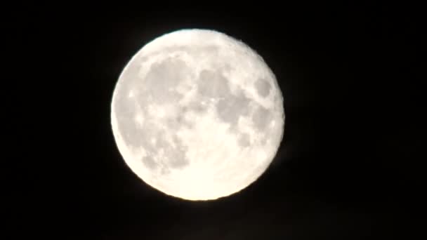 Volle Maan Witte Volle Maan Aan Zwarte Hemel Nachts Handheld — Stockvideo