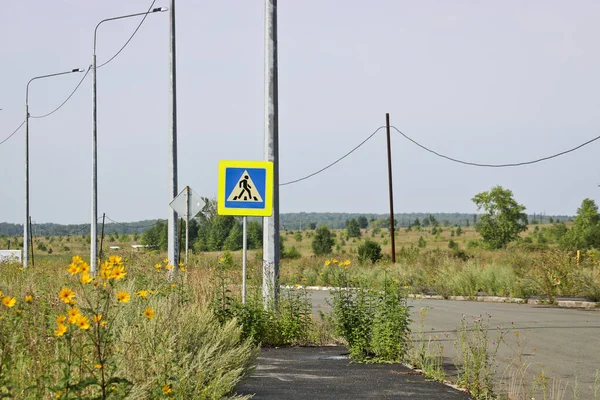 Verkeerstekens Voetgangersoversteek Achtergrond Van Een Grazige Weg Gele Bloemen Zomer — Stockfoto