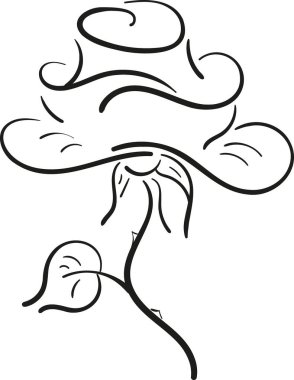 Beyaz arkaplanda siyah gül boyası