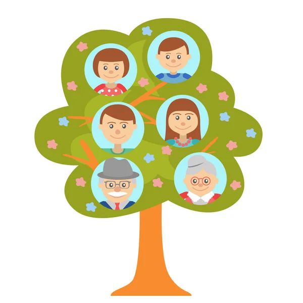 Cartoon generation family tree isolated on white — Stock Vector