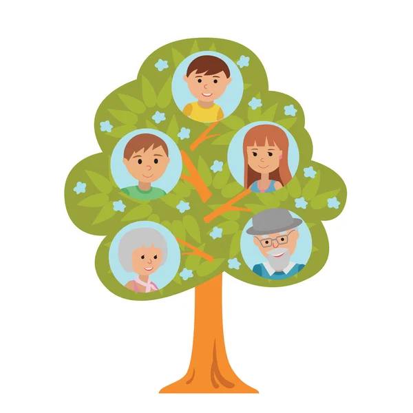 Árvore genealógica de geração de desenhos animados em estilo plano avós pais e criança isolada no fundo branco . —  Vetores de Stock