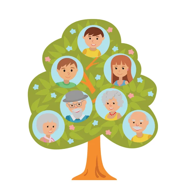 Cartoon generation family tree in flat style grandparents parents and child isolated on white background. — Stock Vector