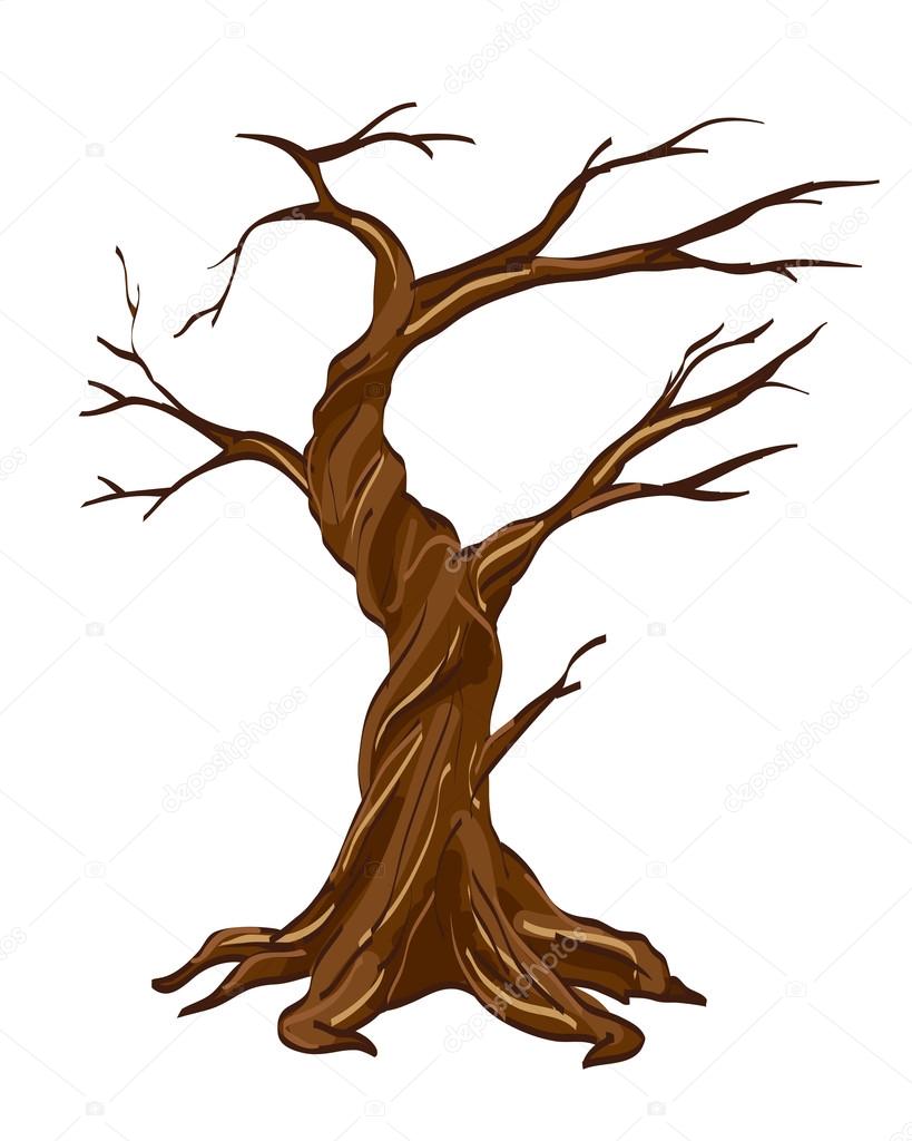 Vector illustration of dry tree isolated on white