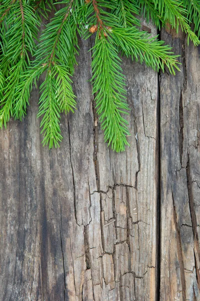 Green spruce branch fir tree on the old wooden table background — Stock Photo, Image