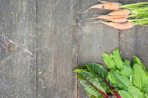Young carrot, fresh beetroot leaves and sorrel on the surface of an old wooden table