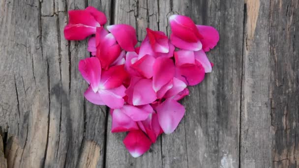 Pétalos de rosa voladores en forma de corazón. Concepto de San Valentín. — Vídeos de Stock