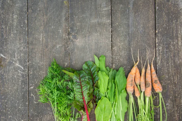 Young carrot, fresh beetroot leaves and sorrel on the surface of an old wooden table