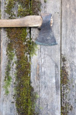 Antika yosun tahtalarında tahta sapı olan eski bir balta. Rustik resim