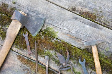 Yosun kaplı kalasların arka planına karşı antika aletler. Boşluğu kopyala
