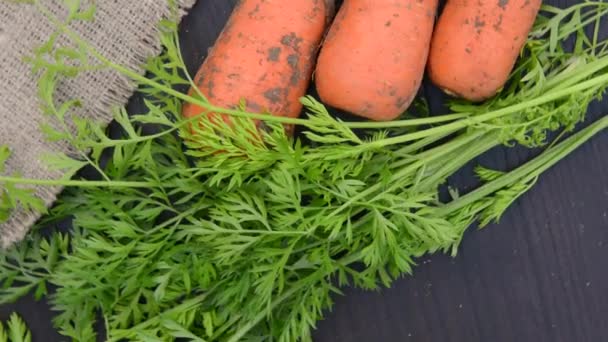 Färska morötter med blad på bordet, kamera rotation video — Stockvideo