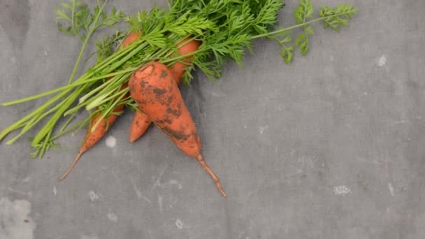Cenouras frescas com folhas em tecido velho cinza, câmera de rotação de vídeo — Vídeo de Stock