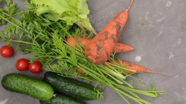 野菜の庭から新鮮な野菜キュウリサラダトマト回転カメラ — ストック動画