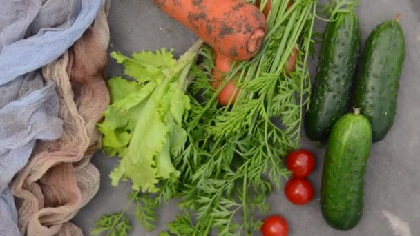 野菜の庭から新鮮な野菜キュウリサラダトマト回転カメラ — ストック動画