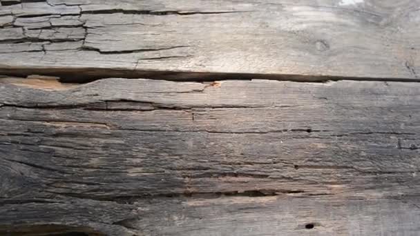 Старый потрескавшийся фон деревянной горизонтальной камеры движения — стоковое видео