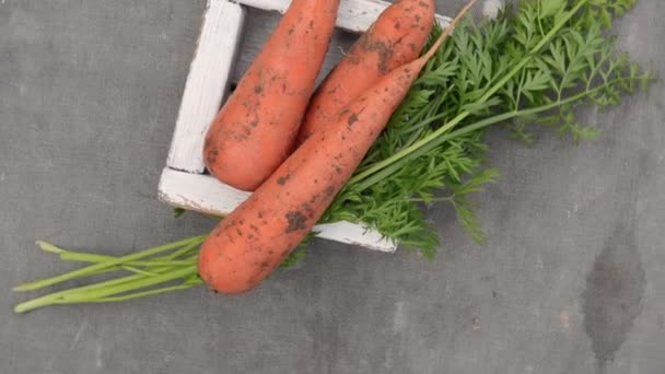 Zanahorias frescas con hojas en caja de madera en tela vieja gris, video de rotación de cámara — Vídeos de Stock
