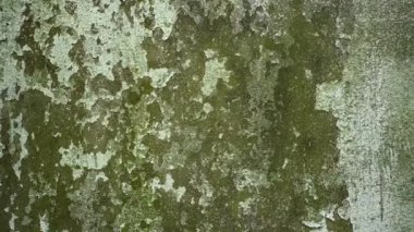 Eski duvarın dokusu. Grunge dokusu. Video panorama