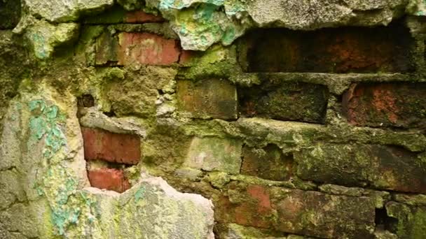 Fond de la texture d'un vieux mur de briques dans le style de grunge. Caméra panoramique vidéo. — Video