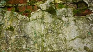 Eski bir tuğla duvarın arka planında grunge tarzında. Panorama kamera videosu.