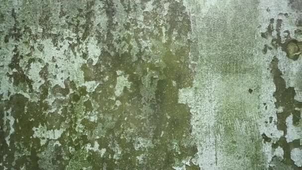 The texture of the old wall. Grunge texture. Video panorama — Stock Video