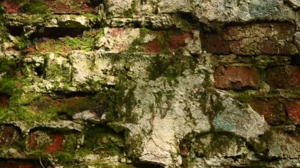 Ιστορικό της υφής ενός παλιού τοίχου από τούβλα στο στυλ του grunge. Βίντεο κάμερας Panorama. — Αρχείο Βίντεο