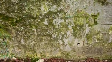 Eski bir tuğla duvarın arka planında grunge tarzında. Panorama kamera videosu.