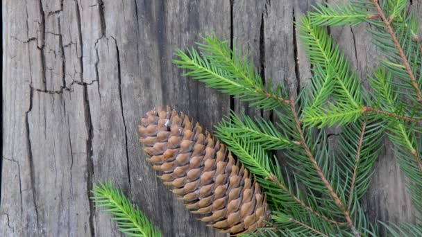 Spruce cone and Christmas tree branch on an old cracked wooden background — Stock Video