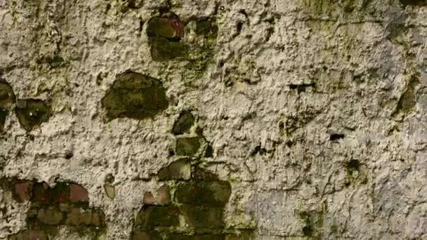 Fond de la texture d'un vieux mur de briques dans le style de grunge. Caméra panoramique vidéo. — Video