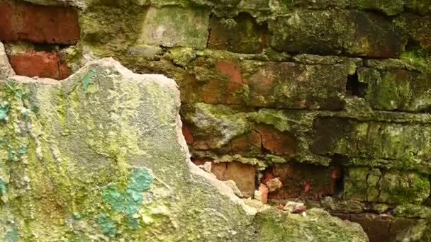 Background of the texture of an old brick wall in the style of grunge. Panorama camera video. — Stock Video