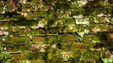 Eski bir tuğla duvarın arka planında grunge tarzında. Panorama kamera videosu.