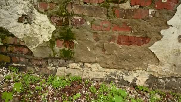 Background of the texture of an old brick wall in the style of grunge. Panorama camera video. — Stock Video