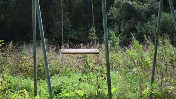 Pusta opuszczona huśtawka w lesie. Koncepcja samotności i czasu. Filmik. — Wideo stockowe