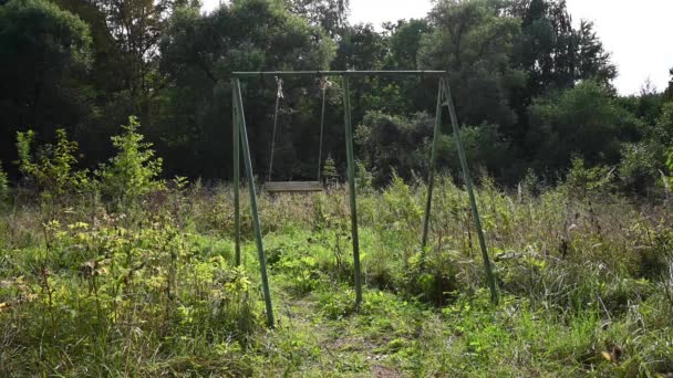 Eine leere verlassene Schaukel im Wald. Das Konzept von Einsamkeit und Zeit. Video. — Stockvideo