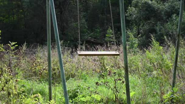 Koncept ochranného prostředí. Prázdný opuštěný houpačka v lese. Video. — Stock video