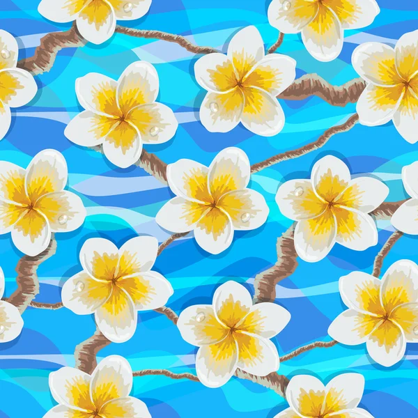 Tropische Blumen plumeria — Stockvektor