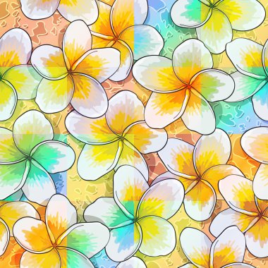 tropik çiçekler plumeria 