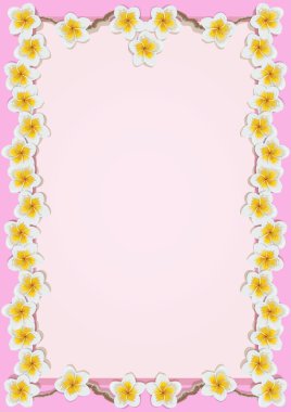 tropik çiçekler plumeria çerçeveli 