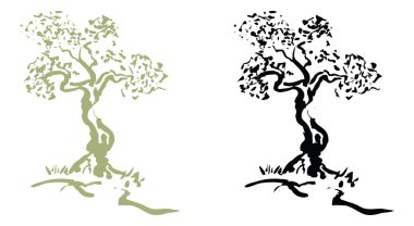 Bonsai.