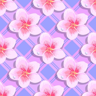 Sorunsuz arka plan tropik çiçekler plumeria 