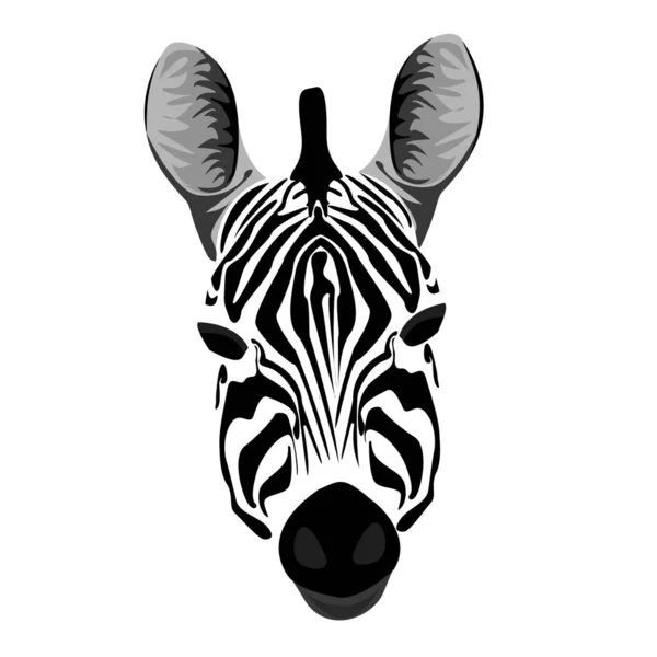 Zebra baş vektörü güzel bir şekilde — Stok Vektör