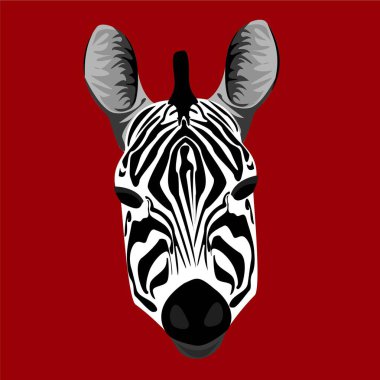 Zebra baş vektörü güzel bir şekilde