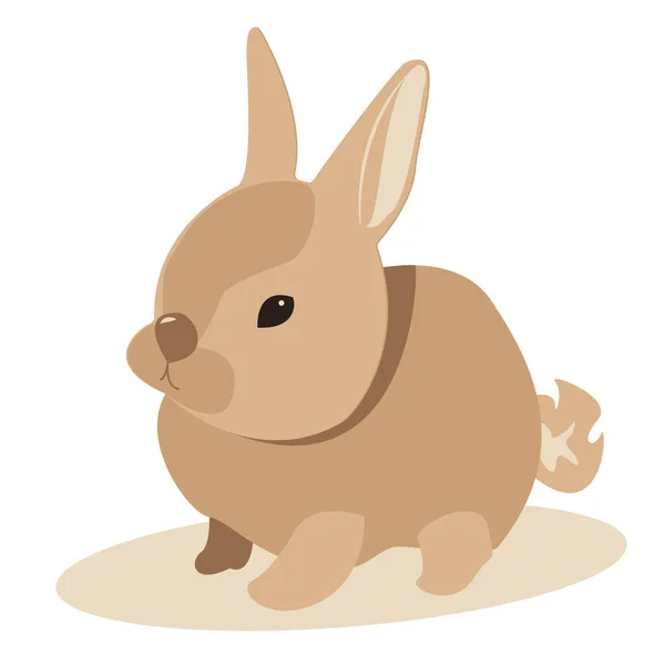 Bunte niedliche Kaninchen Karikatur auf weißem Hintergrund — Stockvektor