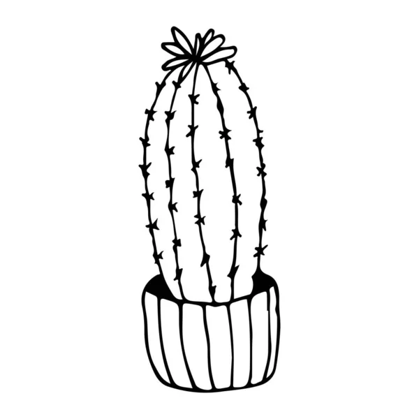 Illustration doodle cactus noir sur blanc — Image vectorielle
